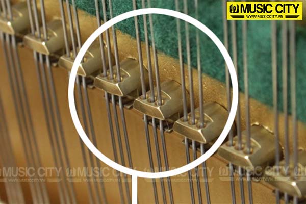 Music City – Tổng Kho Piano, Guitar, Organ | Dịch Vụ Giáo Dục Âm Nhạc