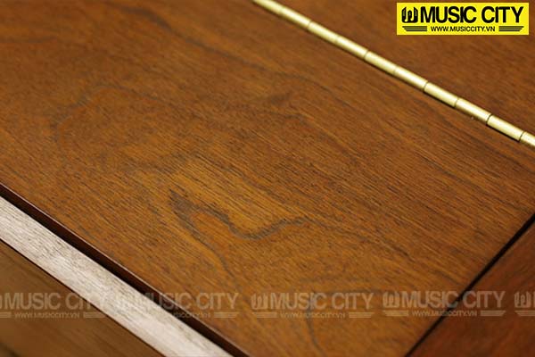 Music City – Tổng Kho Piano, Guitar, Organ | Dịch Vụ Giáo Dục Âm Nhạc