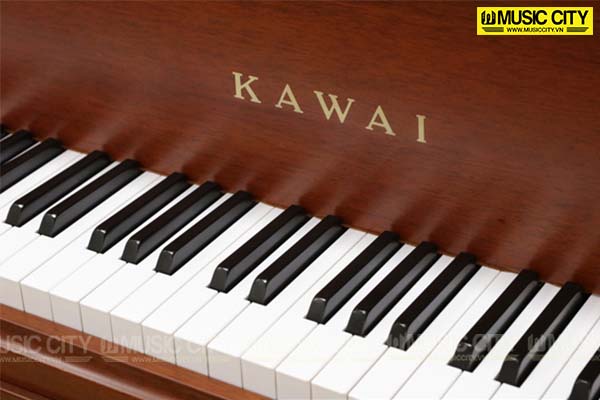 Music City – Tổng Kho Piano, Guitar, Organ | Dịch Vụ Giáo Dục Âm Nhạc