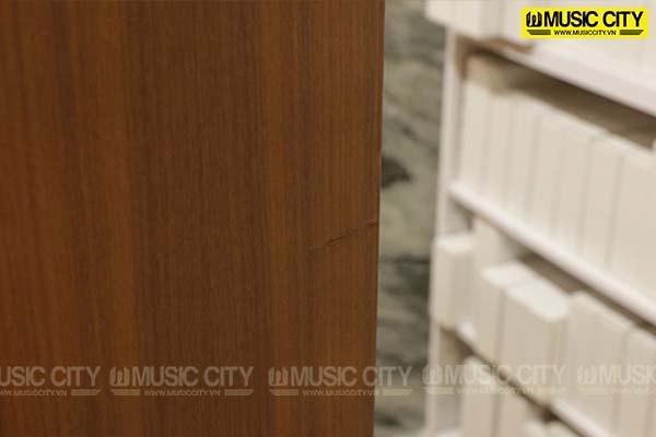 Music City – Tổng Kho Piano, Guitar, Organ | Dịch Vụ Giáo Dục Âm Nhạc