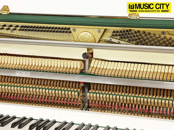 Music City – Tổng Kho Piano, Guitar, Organ | Dịch Vụ Giáo Dục Âm Nhạc
