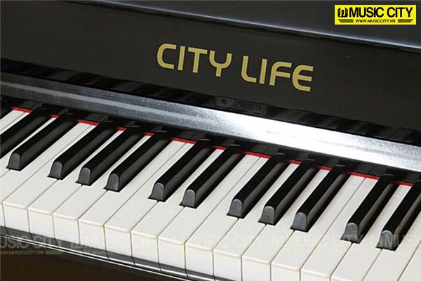 Music City – Tổng Kho Piano, Guitar, Organ | Dịch Vụ Giáo Dục Âm Nhạc