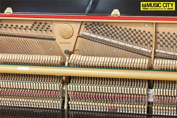 Music City – Tổng Kho Piano, Guitar, Organ | Dịch Vụ Giáo Dục Âm Nhạc