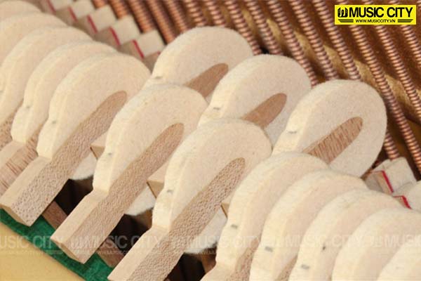 Music City – Tổng Kho Piano, Guitar, Organ | Dịch Vụ Giáo Dục Âm Nhạc
