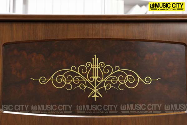 Music City – Tổng Kho Piano, Guitar, Organ | Dịch Vụ Giáo Dục Âm Nhạc