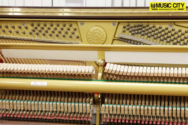 Music City – Tổng Kho Piano, Guitar, Organ | Dịch Vụ Giáo Dục Âm Nhạc