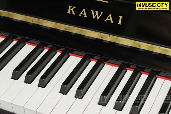 Music City – Tổng Kho Piano, Guitar, Organ | Dịch Vụ Giáo Dục Âm Nhạc