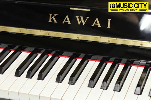 Music City – Tổng Kho Piano, Guitar, Organ | Dịch Vụ Giáo Dục Âm Nhạc