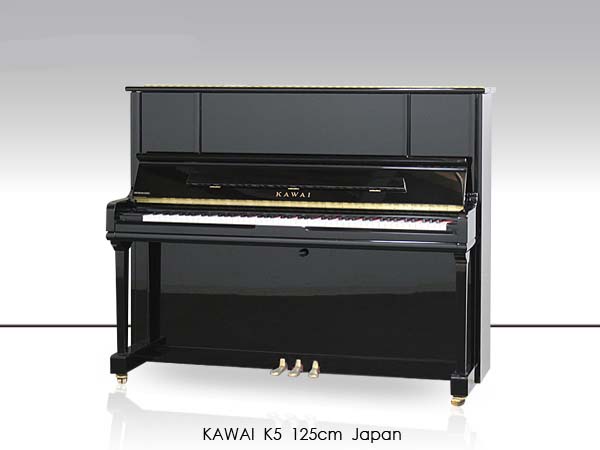 Music City – Tổng Kho Piano, Guitar, Organ | Dịch Vụ Giáo Dục Âm Nhạc