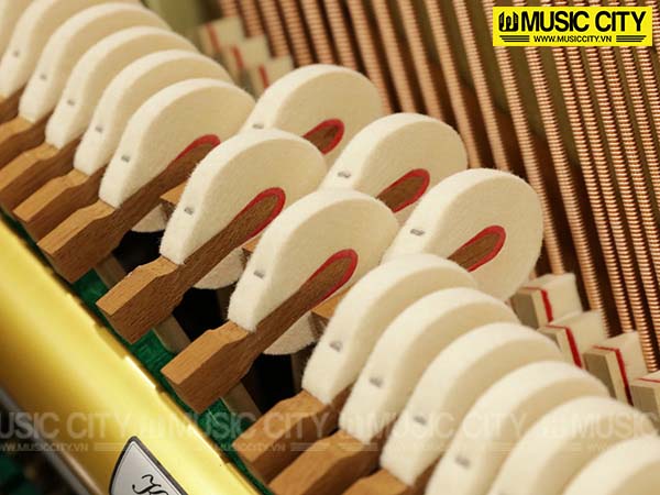 Music City – Tổng Kho Piano, Guitar, Organ | Dịch Vụ Giáo Dục Âm Nhạc