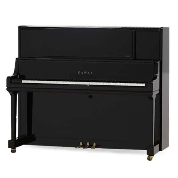 Music City – Tổng Kho Piano, Guitar, Organ | Dịch Vụ Giáo Dục Âm Nhạc