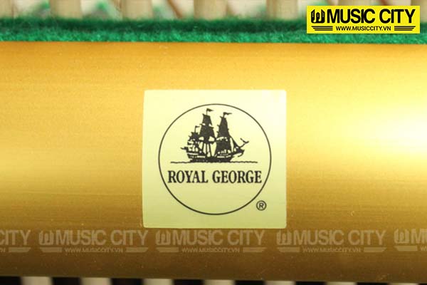 Music City – Tổng Kho Piano, Guitar, Organ | Dịch Vụ Giáo Dục Âm Nhạc