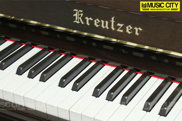Music City – Tổng Kho Piano, Guitar, Organ | Dịch Vụ Giáo Dục Âm Nhạc