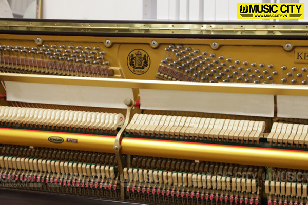 Music City – Tổng Kho Piano, Guitar, Organ | Dịch Vụ Giáo Dục Âm Nhạc