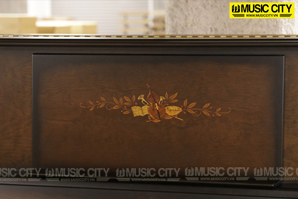 Music City – Tổng Kho Piano, Guitar, Organ | Dịch Vụ Giáo Dục Âm Nhạc