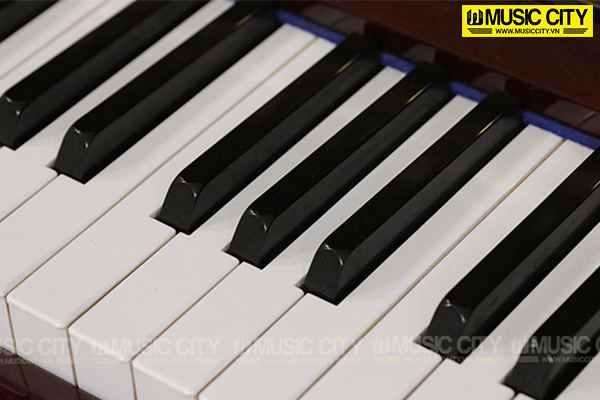 Music City – Tổng Kho Piano, Guitar, Organ | Dịch Vụ Giáo Dục Âm Nhạc