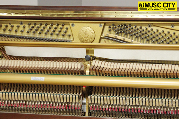 Music City – Tổng Kho Piano, Guitar, Organ | Dịch Vụ Giáo Dục Âm Nhạc