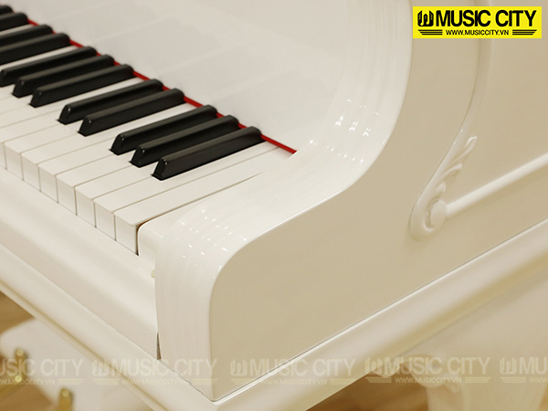 Music City – Tổng Kho Piano, Guitar, Organ | Dịch Vụ Giáo Dục Âm Nhạc