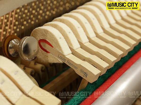Music City – Tổng Kho Piano, Guitar, Organ | Dịch Vụ Giáo Dục Âm Nhạc