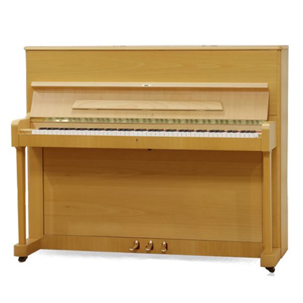 Music City – Tổng Kho Piano, Guitar, Organ | Dịch Vụ Giáo Dục Âm Nhạc