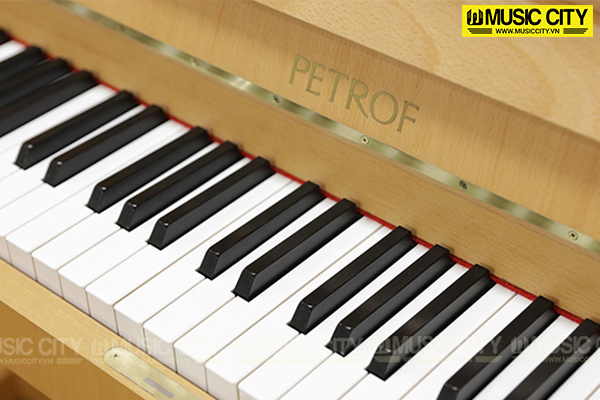 Music City – Tổng Kho Piano, Guitar, Organ | Dịch Vụ Giáo Dục Âm Nhạc