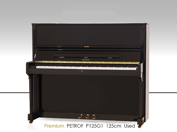 Music City – Tổng Kho Piano, Guitar, Organ | Dịch Vụ Giáo Dục Âm Nhạc