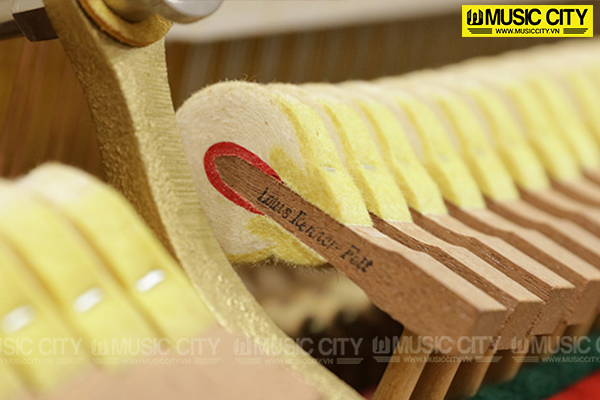 Music City – Tổng Kho Piano, Guitar, Organ | Dịch Vụ Giáo Dục Âm Nhạc