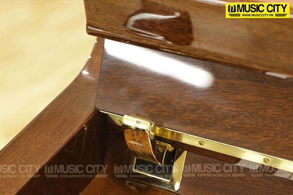 Music City – Tổng Kho Piano, Guitar, Organ | Dịch Vụ Giáo Dục Âm Nhạc