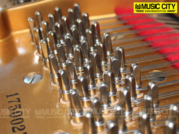 Music City – Tổng Kho Piano, Guitar, Organ | Dịch Vụ Giáo Dục Âm Nhạc
