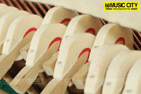Music City – Tổng Kho Piano, Guitar, Organ | Dịch Vụ Giáo Dục Âm Nhạc