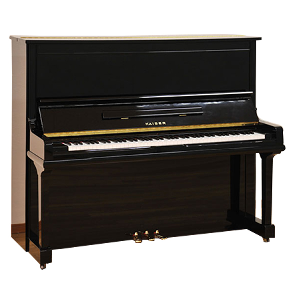 Music City – Tổng Kho Piano, Guitar, Organ | Dịch Vụ Giáo Dục Âm Nhạc
