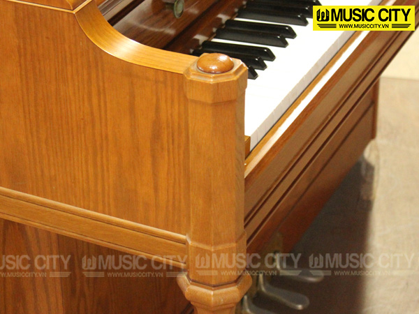 Music City – Tổng Kho Piano, Guitar, Organ | Dịch Vụ Giáo Dục Âm Nhạc