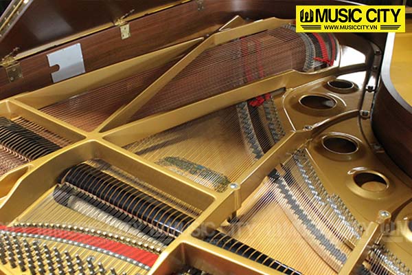 Music City – Tổng Kho Piano, Guitar, Organ | Dịch Vụ Giáo Dục Âm Nhạc