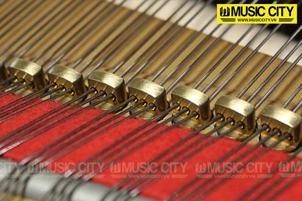 Music City – Tổng Kho Piano, Guitar, Organ | Dịch Vụ Giáo Dục Âm Nhạc
