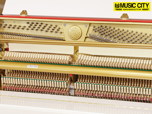 Music City – Tổng Kho Piano, Guitar, Organ | Dịch Vụ Giáo Dục Âm Nhạc