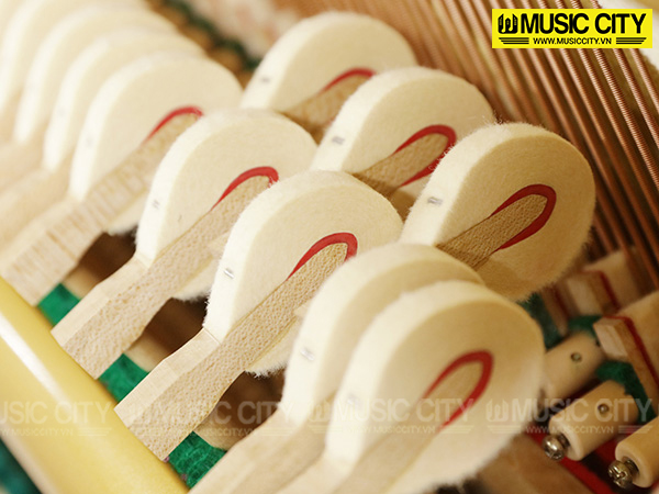 Music City – Tổng Kho Piano, Guitar, Organ | Dịch Vụ Giáo Dục Âm Nhạc