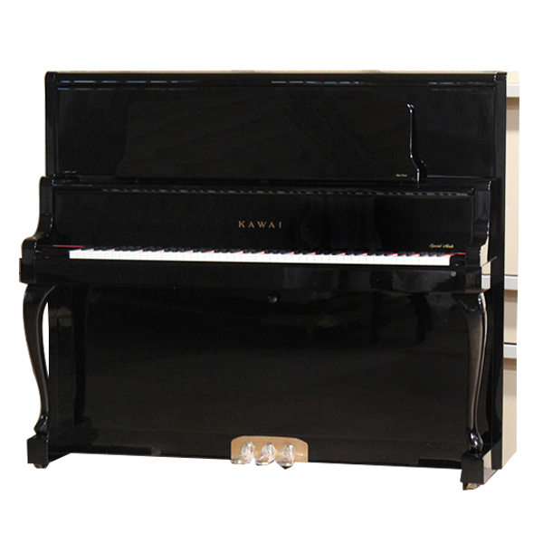Music City – Tổng Kho Piano, Guitar, Organ | Dịch Vụ Giáo Dục Âm Nhạc