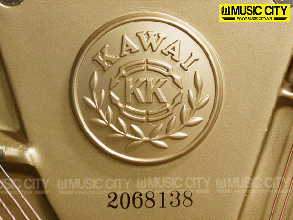 Music City – Tổng Kho Piano, Guitar, Organ | Dịch Vụ Giáo Dục Âm Nhạc