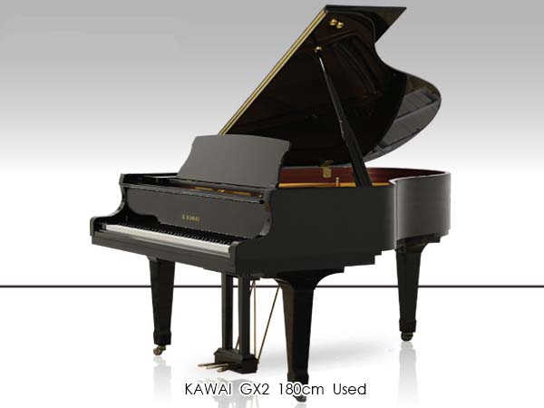 Music City – Tổng Kho Piano, Guitar, Organ | Dịch Vụ Giáo Dục Âm Nhạc