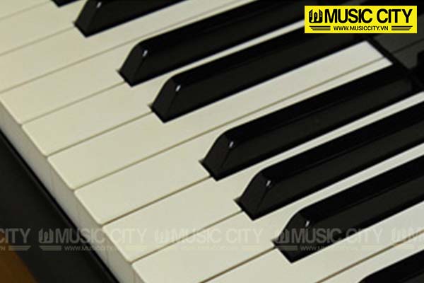 Music City – Tổng Kho Piano, Guitar, Organ | Dịch Vụ Giáo Dục Âm Nhạc
