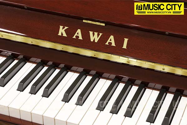 Music City – Tổng Kho Piano, Guitar, Organ | Dịch Vụ Giáo Dục Âm Nhạc
