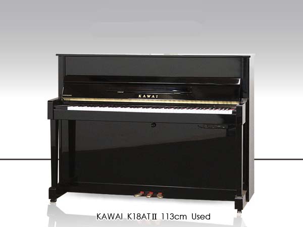 Music City – Tổng Kho Piano, Guitar, Organ | Dịch Vụ Giáo Dục Âm Nhạc