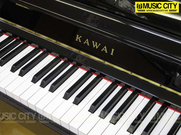 Music City – Tổng Kho Piano, Guitar, Organ | Dịch Vụ Giáo Dục Âm Nhạc