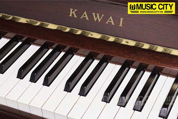 Music City – Tổng Kho Piano, Guitar, Organ | Dịch Vụ Giáo Dục Âm Nhạc