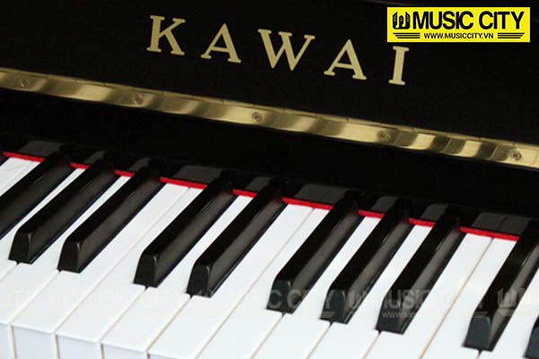 Music City – Tổng Kho Piano, Guitar, Organ | Dịch Vụ Giáo Dục Âm Nhạc