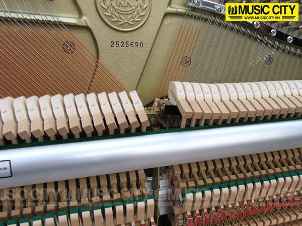 Music City – Tổng Kho Piano, Guitar, Organ | Dịch Vụ Giáo Dục Âm Nhạc