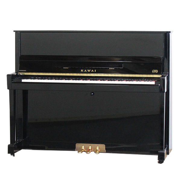 Music City – Tổng Kho Piano, Guitar, Organ | Dịch Vụ Giáo Dục Âm Nhạc