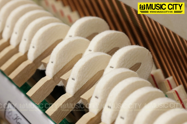 Music City – Tổng Kho Piano, Guitar, Organ | Dịch Vụ Giáo Dục Âm Nhạc