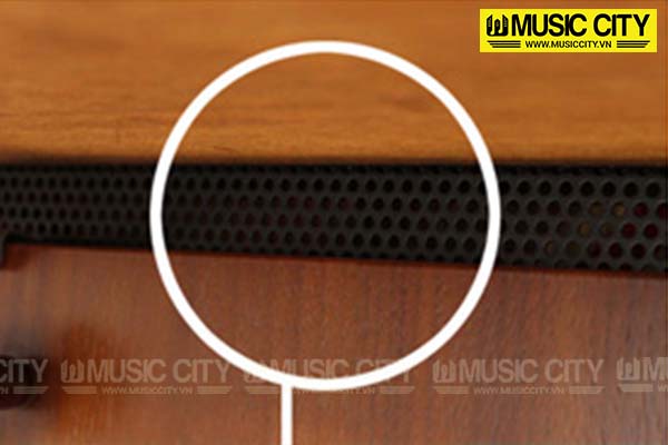 Music City – Tổng Kho Piano, Guitar, Organ | Dịch Vụ Giáo Dục Âm Nhạc