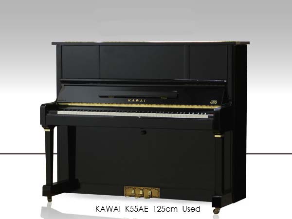 Music City – Tổng Kho Piano, Guitar, Organ | Dịch Vụ Giáo Dục Âm Nhạc